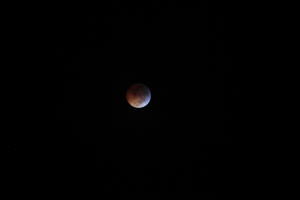 2010 Lunar Eclipse 001.JPG (1136588 bytes)