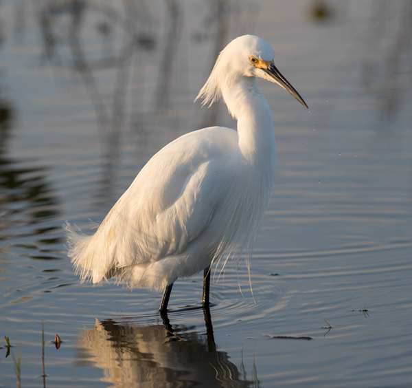 %_tempFileName2018%20%201%2015%20Audubon%20trip_17%