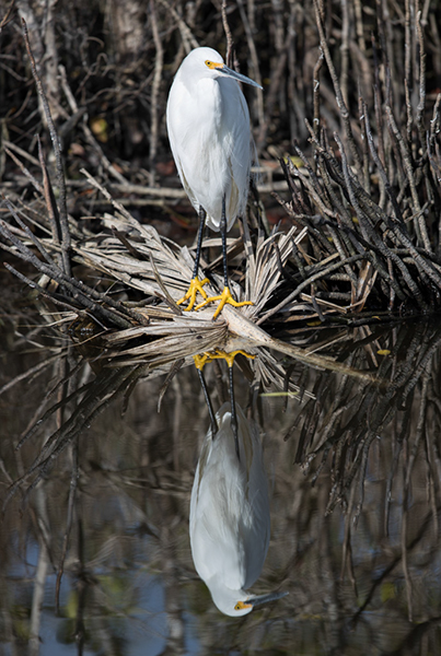 %_tempFileName2018%20%201%2015%20Audubon%20trip_50%