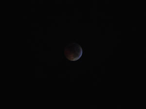 2010 Lunar Eclipse 002.jpg (2252893 bytes)