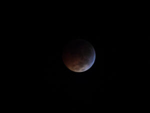 2010 Lunar Eclipse 003.jpg (1172496 bytes)