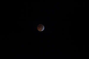 2010 Lunar Eclipse 004.JPG (8590813 bytes)