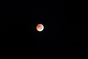 2010 Lunar Eclipse 007.JPG (8722890 bytes)