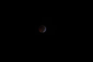 2010 Lunar Eclipse 009.jpg (6414303 bytes)