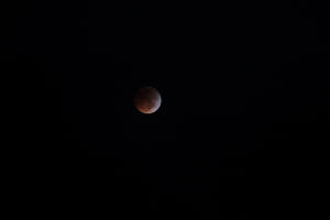 2010 Lunar Eclipse 011.jpg (10424078 bytes)