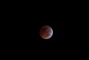 2010 Lunar Eclipse 013.jpg (1673209 bytes)
