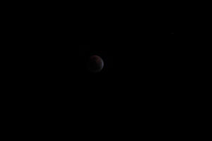 2010 Lunar Eclipse 014.JPG (4991012 bytes)