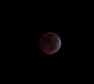 2010 Lunar Eclipse 015.JPG (1292638 bytes)