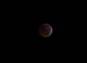 2010 Lunar Eclipse 017.jpg (2594640 bytes)